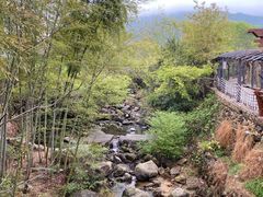 -梁野山景区