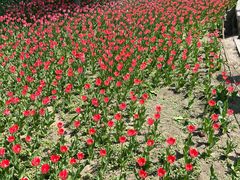 -长春公园(普阳街道)