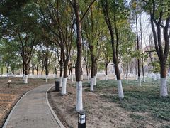 -沙澧河风景区