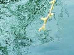 -安定门(地铁站)