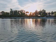 -什刹海