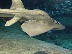 -香港海洋公园