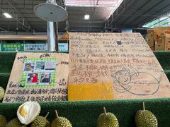 -曼阁市场水果批发市场
