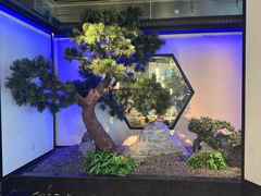 -绿茶餐厅(成都大悦城店)