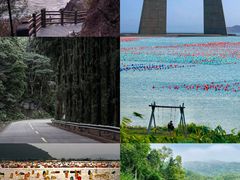 -南澳岛打卡果汁冰公司
