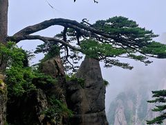 -黄山白云宾馆