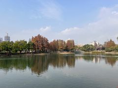 -四海公园(南山区)