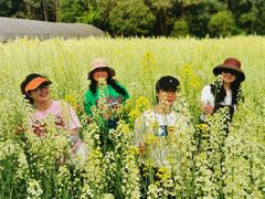 -洪湖家庭农场·团建·露营·会议