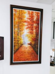 -薇兰专业脱毛连锁机构