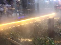 -二荆条·蜀鲜汇城市森林火锅