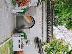 -观音山