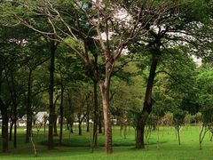 -莲花山公园