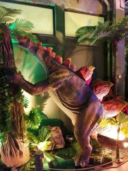 -恐龙探索乐园(磁器口店)