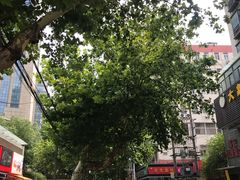 -明瓦廊小区