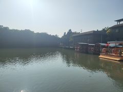 -大湾区中央湿地公园