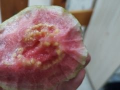 -绿叶水果(长沙蔡锷路店)