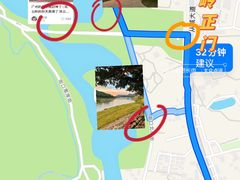 -风云岭森林公园