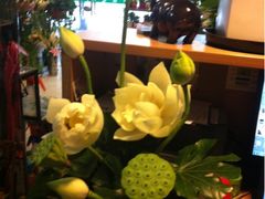 -静岸花卉园艺(三星坊店)