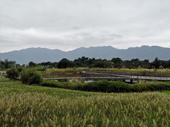 -坝光海滩