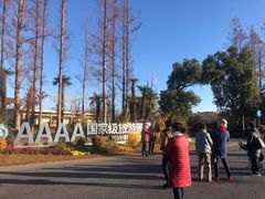 -上海长兴岛郊野公园