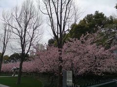 -上海南浦大桥长途旅游客运站