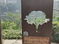 -重庆彩云湖湿地公园
