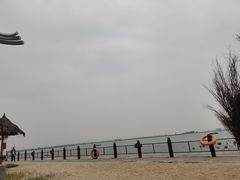 -北海金海湾红树林生态旅游区