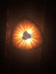 -源素美容养生会所