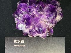 -深圳珠宝博物馆