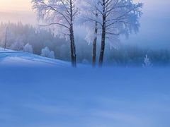 -塞罕坝国家级自然保护区