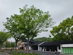 -苏州上方山国家森林公园