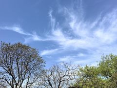 -南京市江宁方山