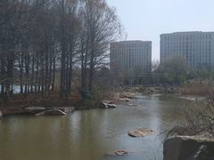 -海天湖公园