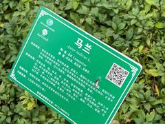 -广西壮族自治区药用植物园