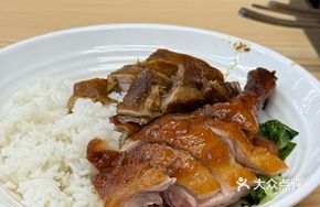 Roast Duck Leg and Scallion Chicken Rice