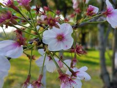 -Dragonfly 悠庭·按摩Spa(苏州中心广场店)