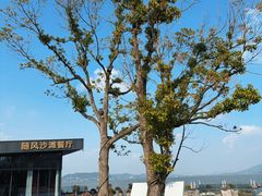 -东钱湖旅游度假区