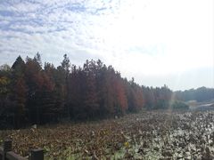 -云龙湖旅游景区