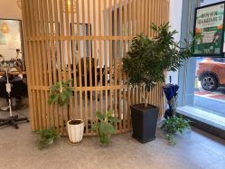 -章光101防脱养发荟