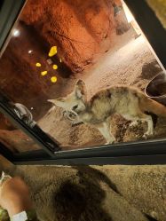 -酷嗒动物文化乐园(cutezoo西溪乐天城店)