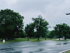 -盘龙城国家考古遗址公园