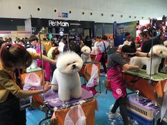 -东浩兰生上海世博展览馆