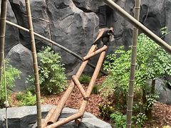 -武汉动物园