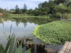 -桤木河湿地公园