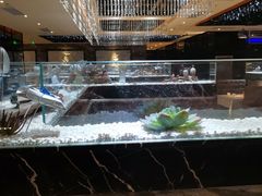 -红辣椒·川菜·火锅(张杨路店)