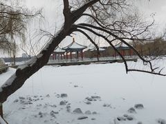 -长春市南湖公园