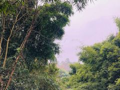 -凤栖山