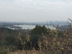 -香雪海