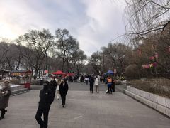 -北山公园