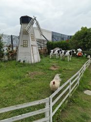-造物庄园 萌宠纪(苏州湾歌林公园店)